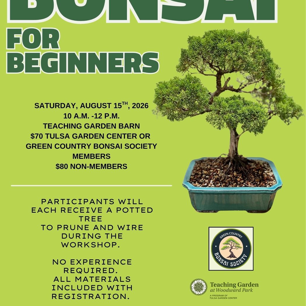 Bonsai for Beginners 1