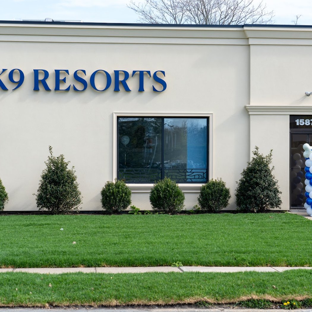 K9 Resorts Luxury Pet Hotel Garden City 3