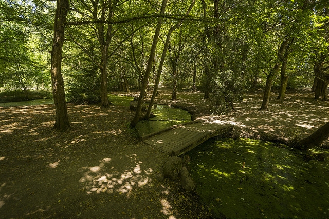 Camp Long 1