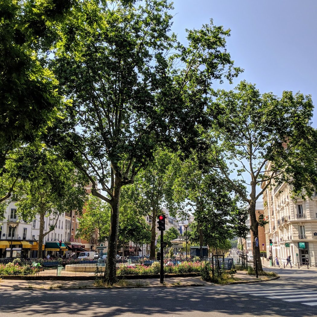 Square Courteline 3