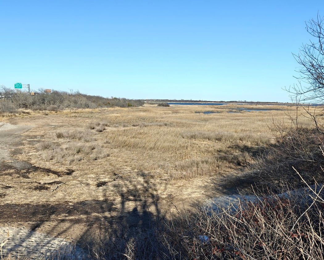 Plumb Beach Spring Cleanup & Birding 2