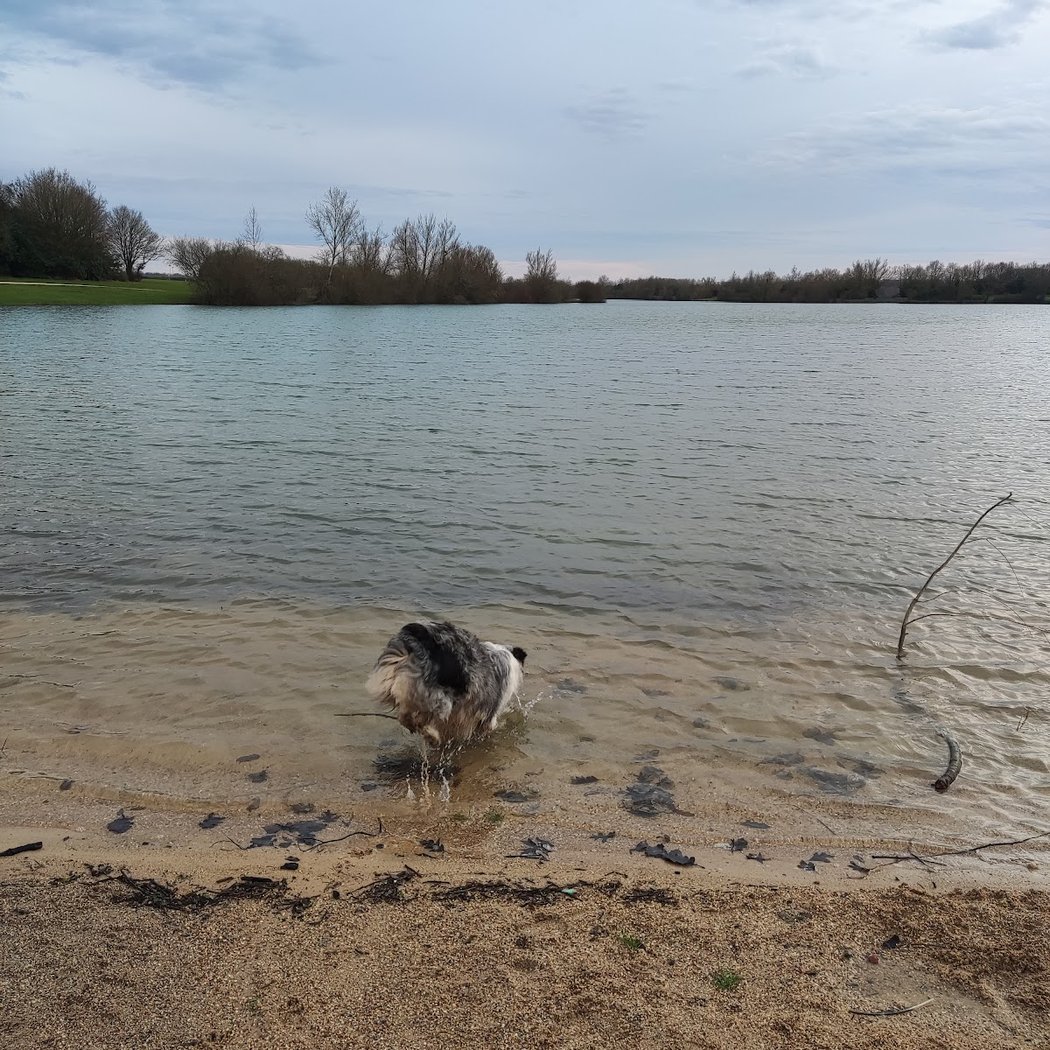 Plan d'Eau de Villiers-sur-Loir 3