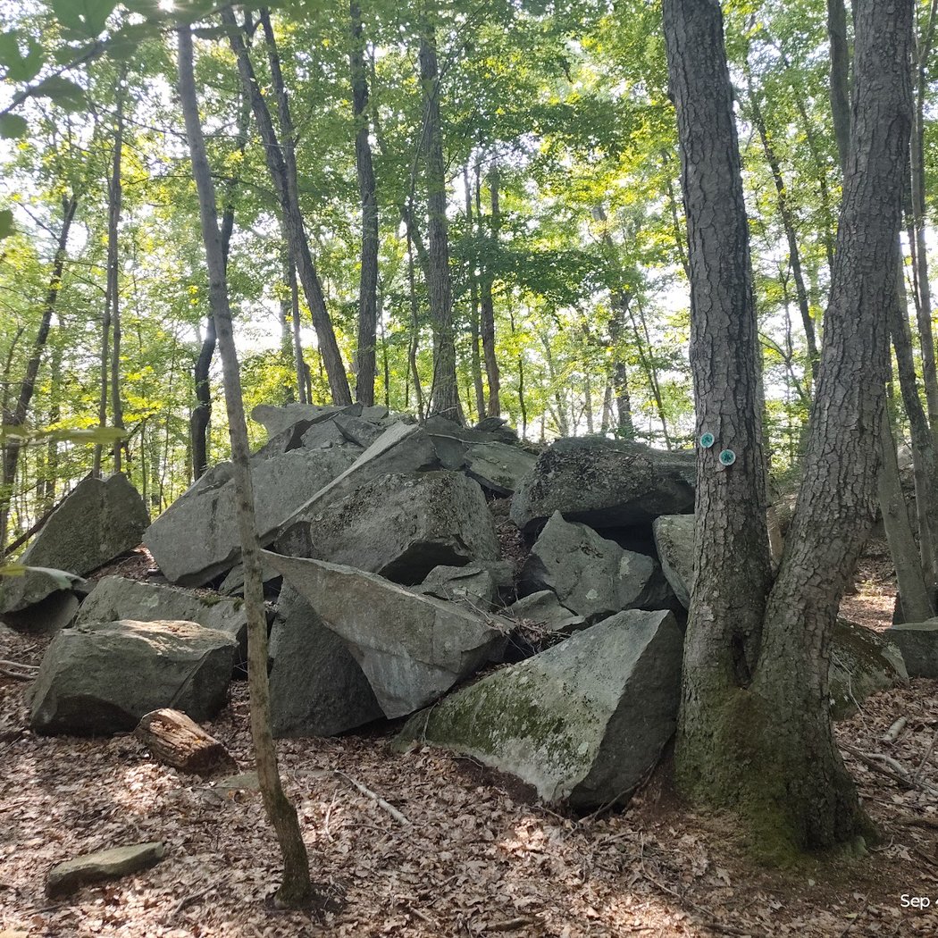 Sylvan Glen Park Preserve 2