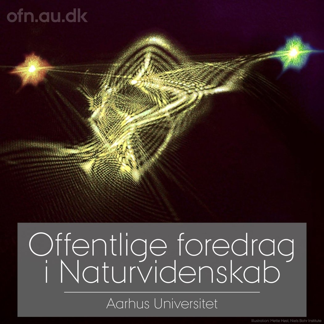Kvantecomputeren 1