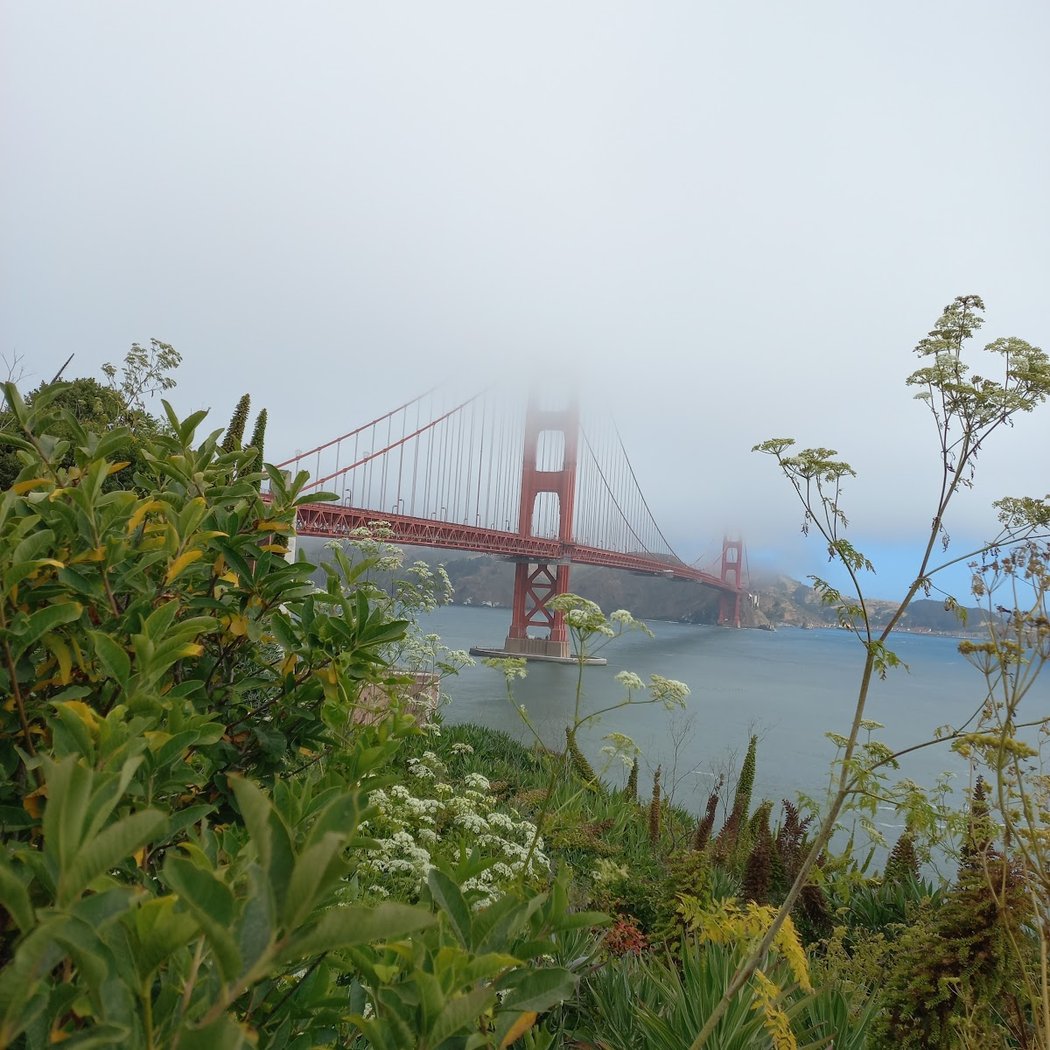 View Golden Gate Bridge 3