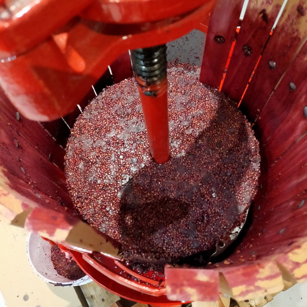 Atelier de production de vins artisanaux et dégustation oenologique 1
