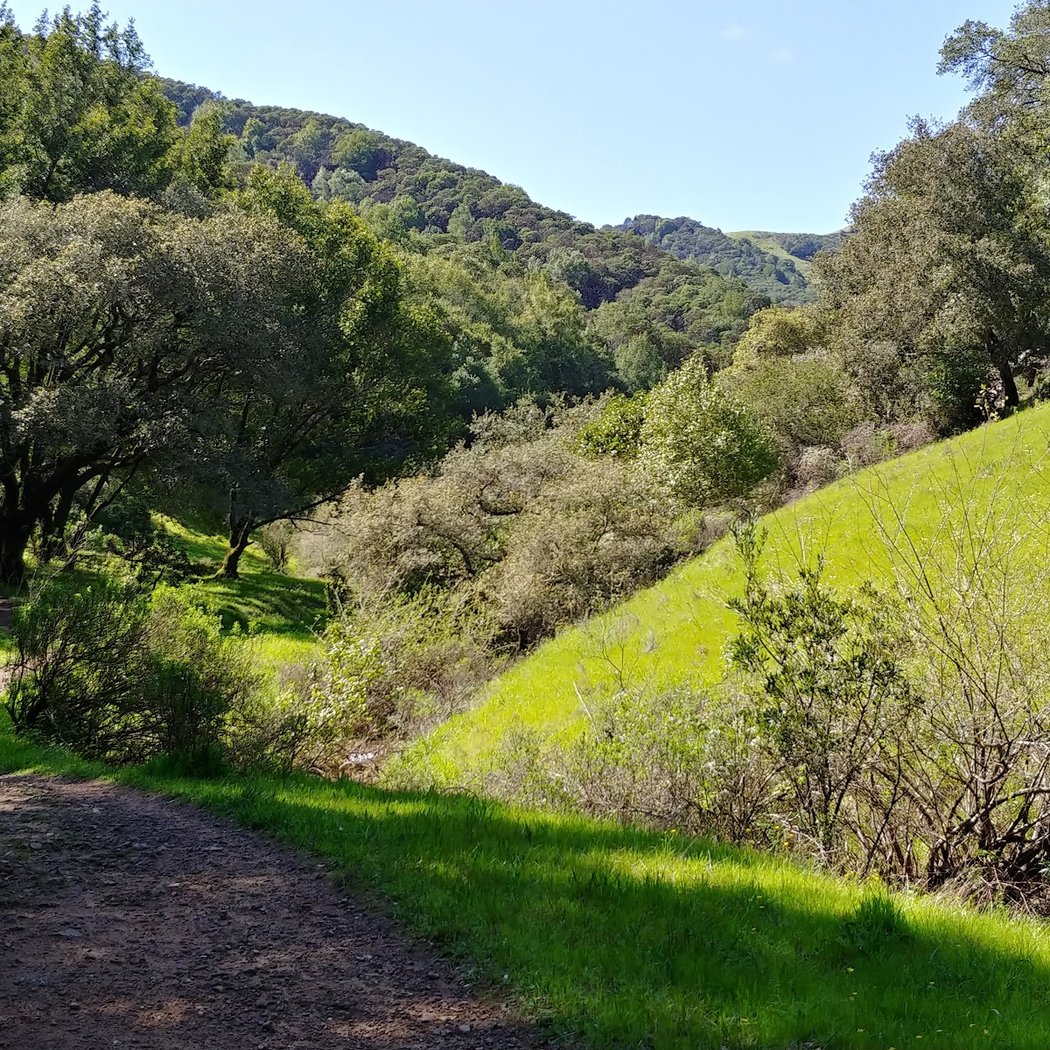 Horne Trail 1
