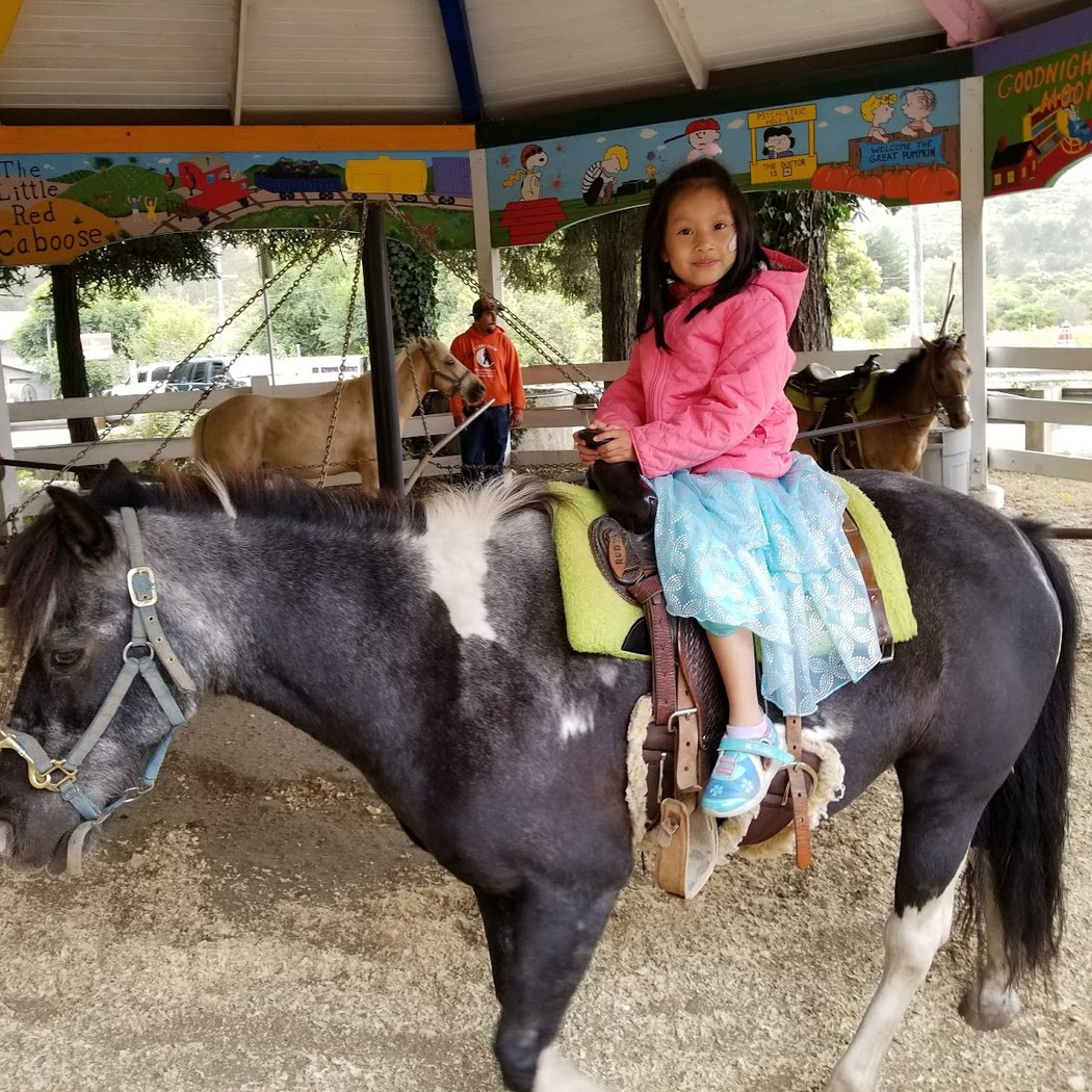 Family Amusement Parks 4