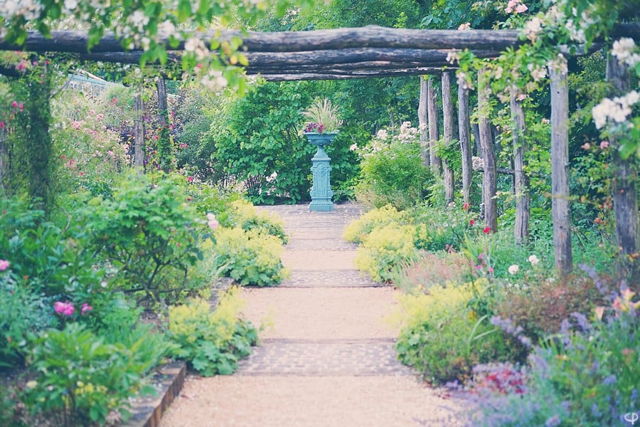 The Gardens of my Mill 1