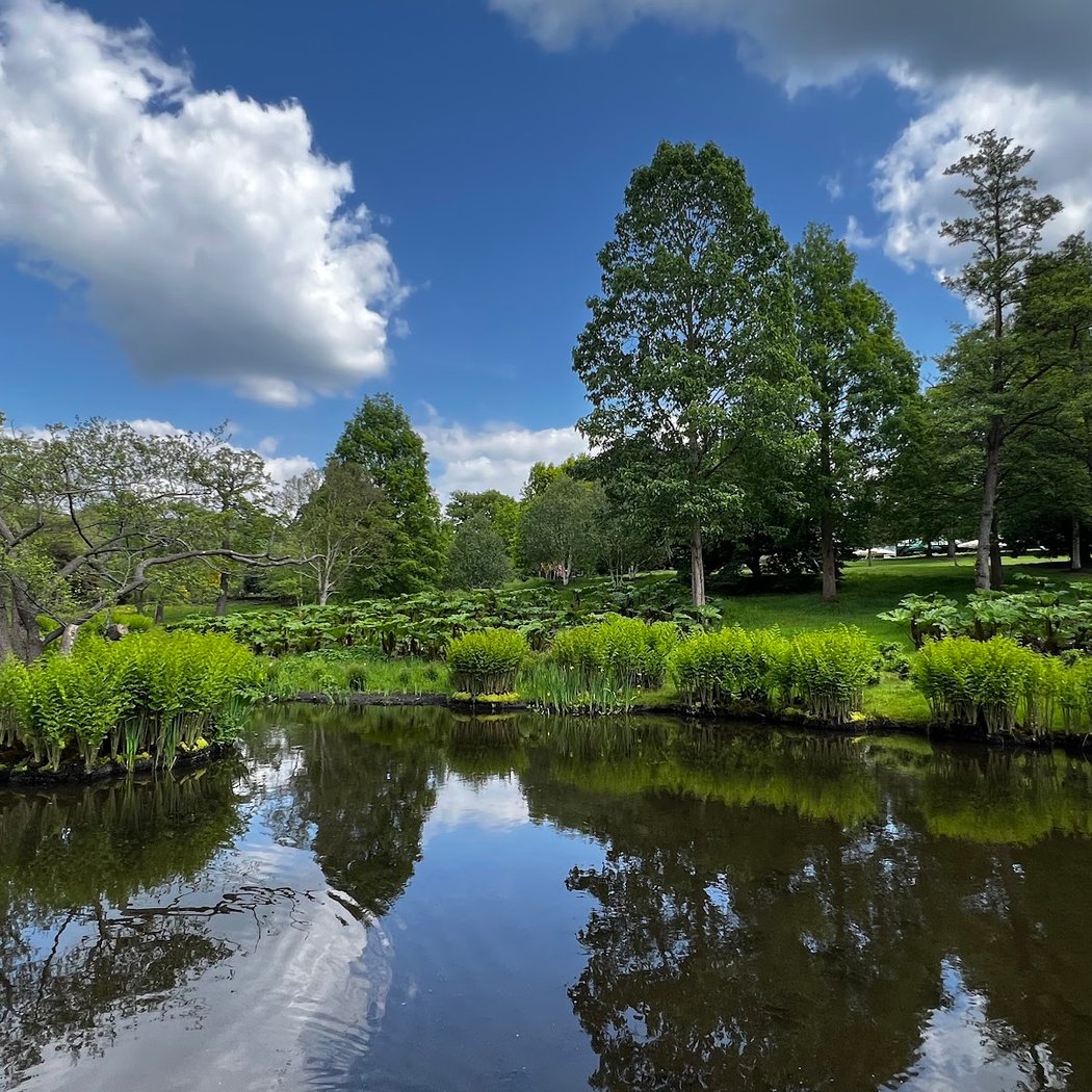 The Savill Garden 3