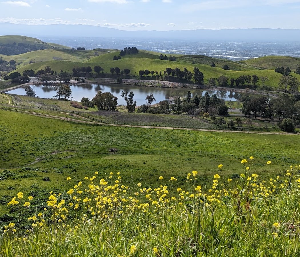 Bird Watching at Ed R. Levin County Park 3