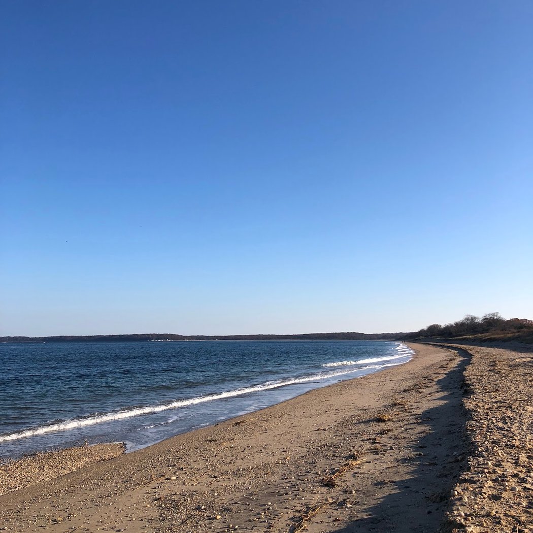 Long Beach 5