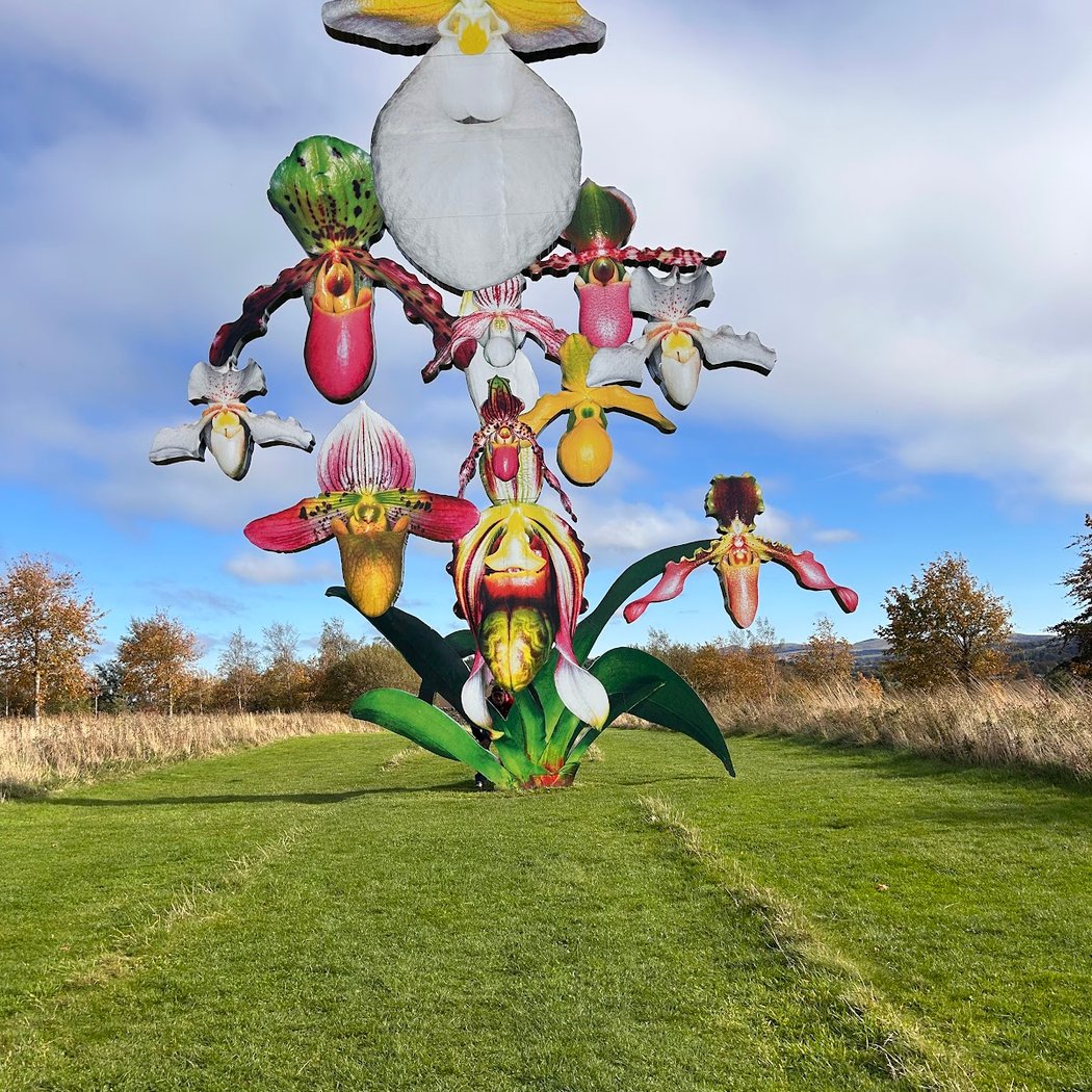 Treasures on tour, outsized orchids and liberated bottoms 1