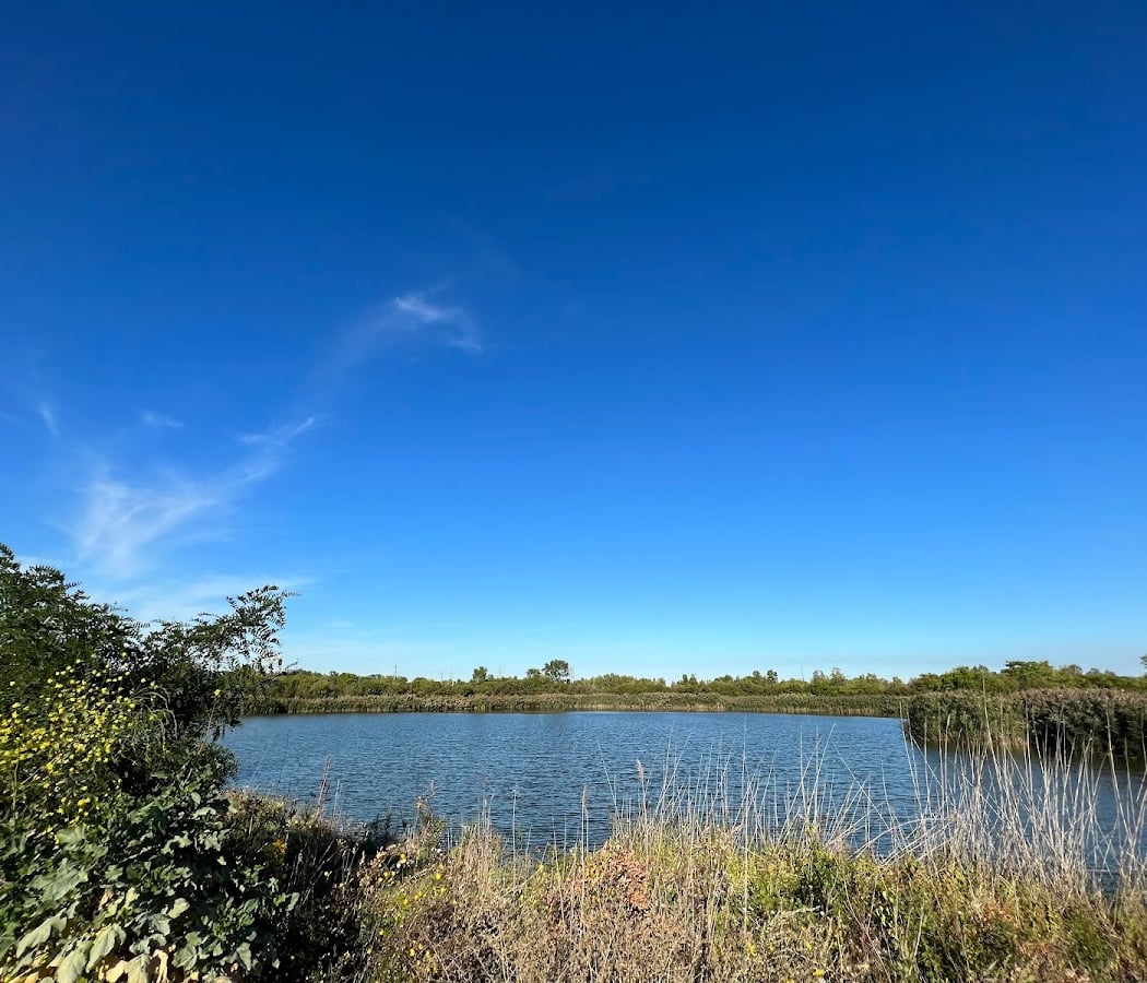 Big Marsh Natural Area Stewardship Day 1