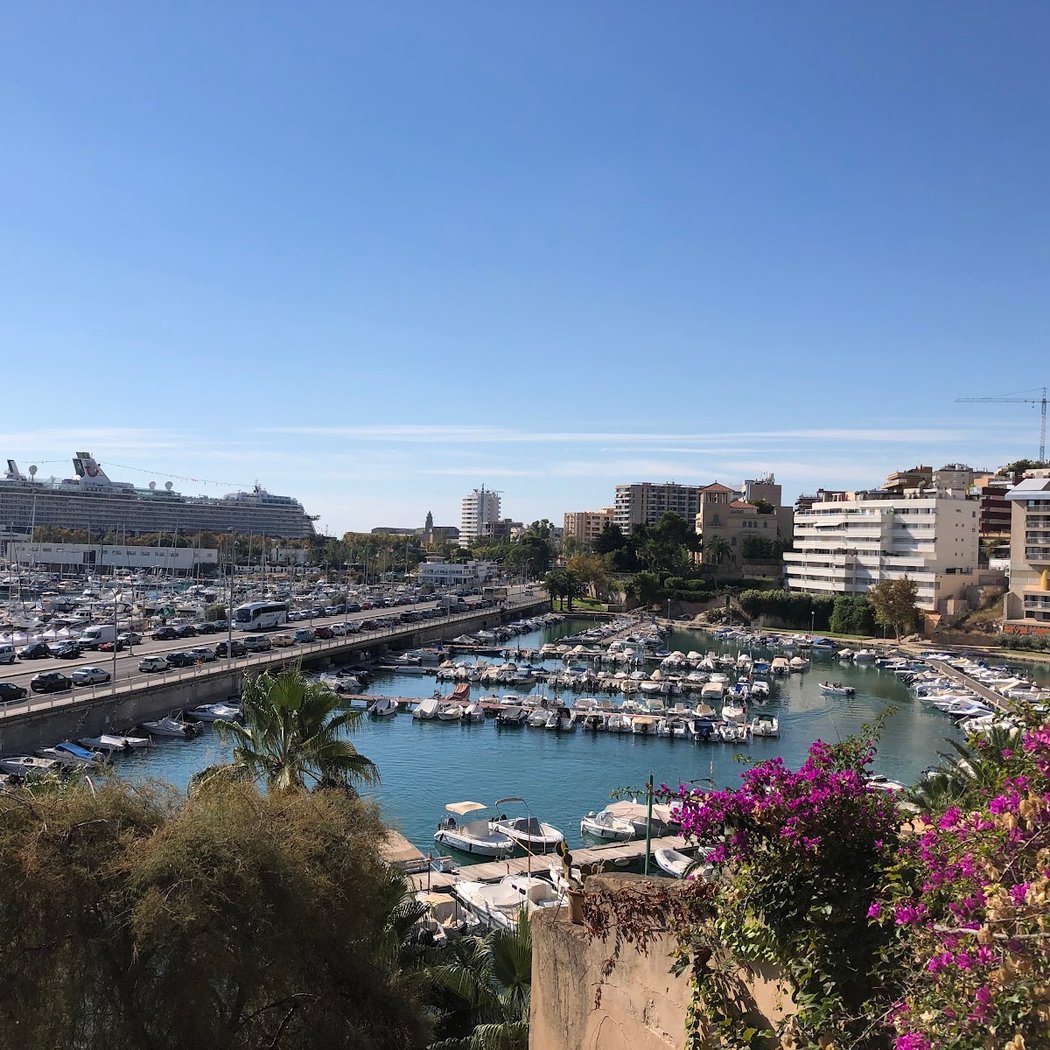 Port de Palma Triathlon Mallorca 2026 3