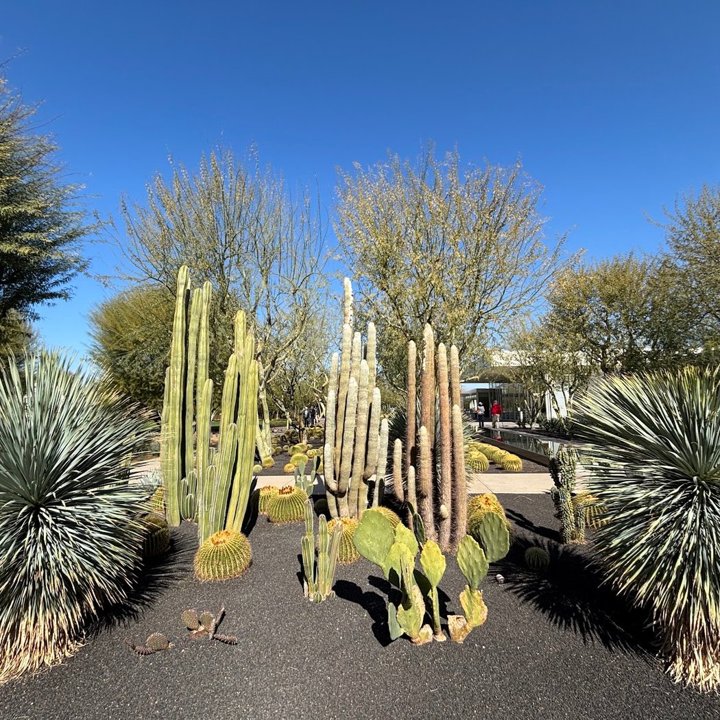 Sunnylands Center & Gardens 3