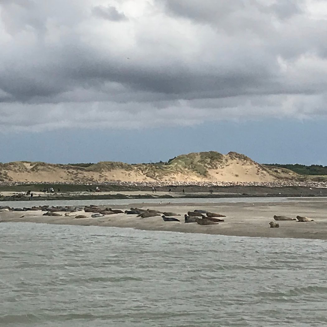 Baie d'Authie 3