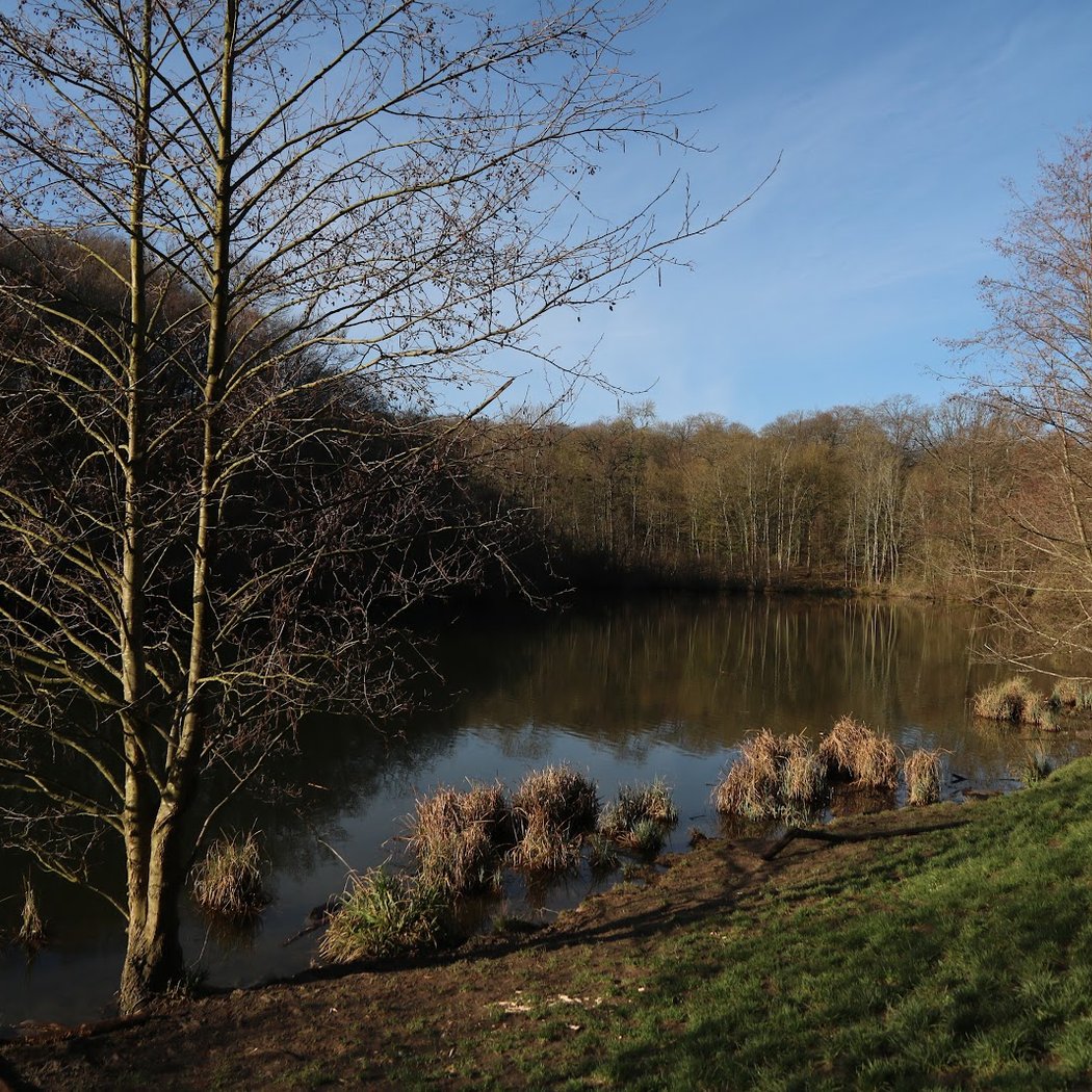 Étang de la Garenne 2