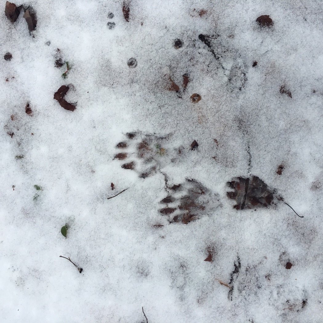 Grafton Lakes State Park 2