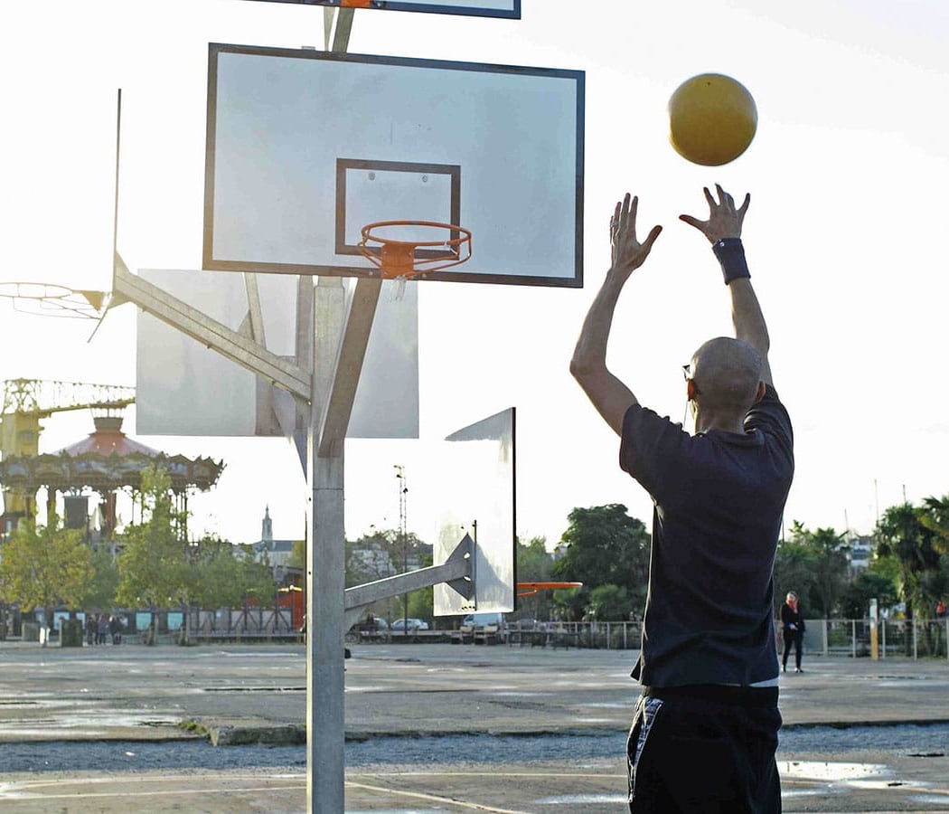 L'arbre à basket 2