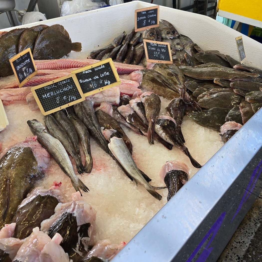 Marché aux poissons 1