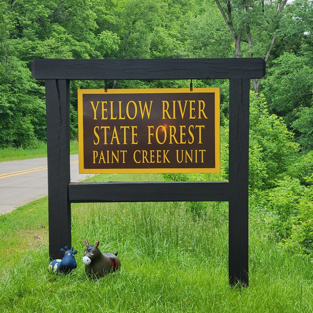 Yellow River State Forest - Paint Creek Unit 2