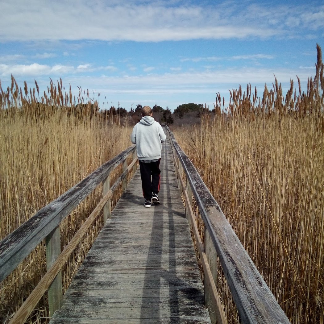 Dune Rd 1