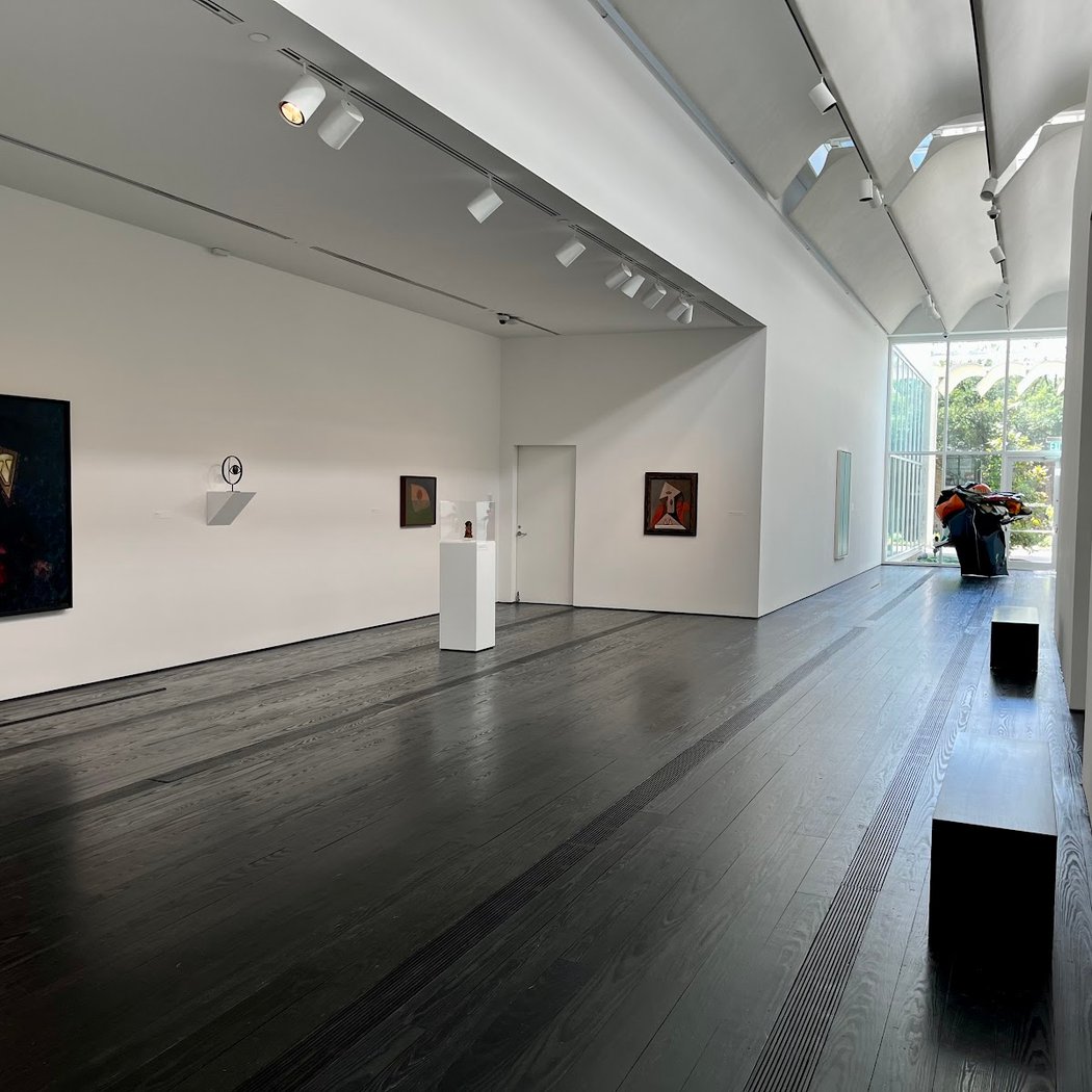 Menil Society Preview: Terry Winters: Vitalized Geometry