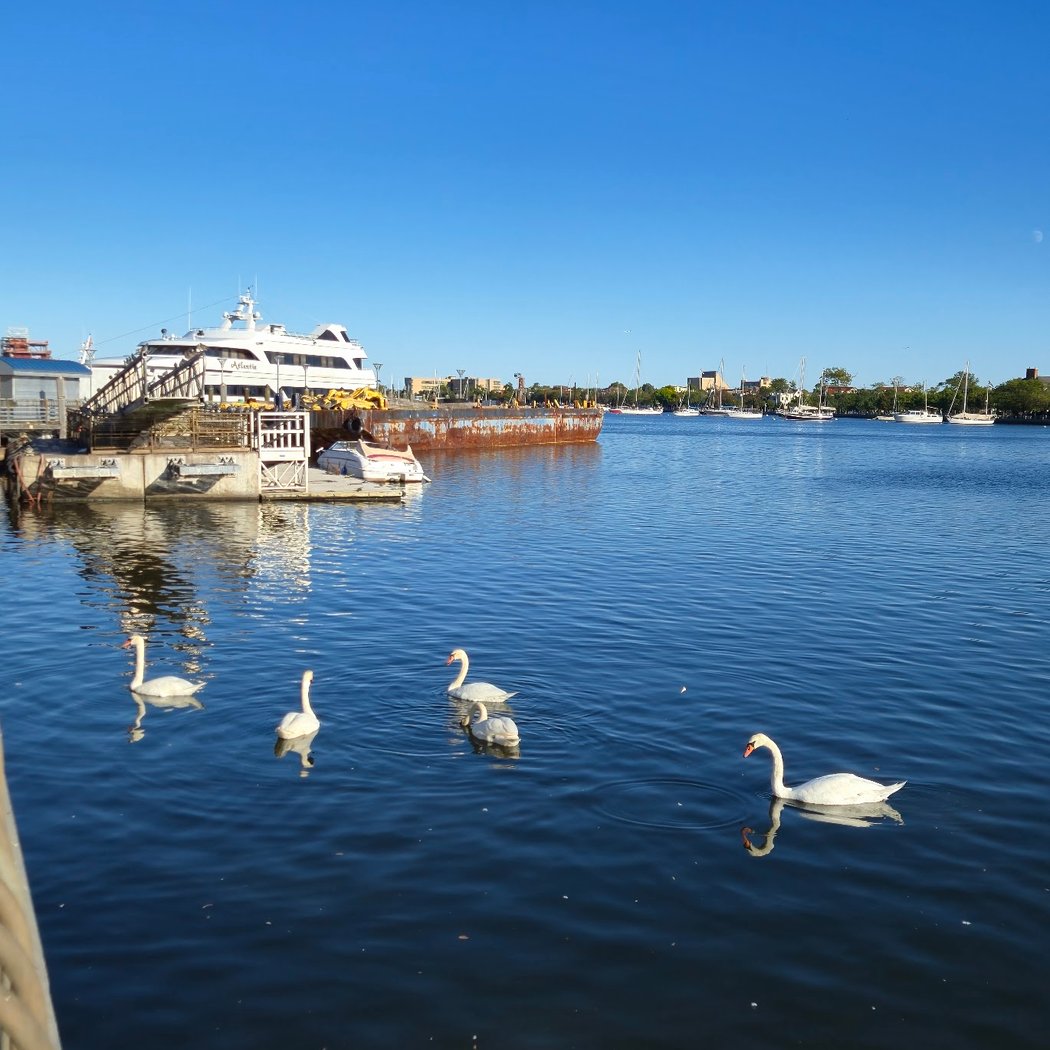 Sheepshead Bay Piers 3