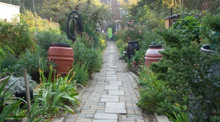 Hollenback Community Garden 1