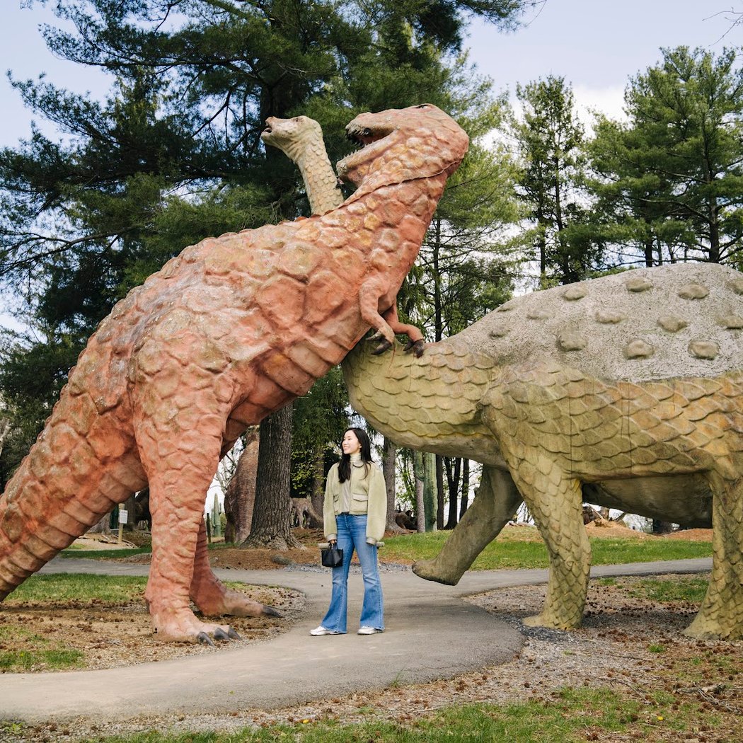 Dinosaur Land 2