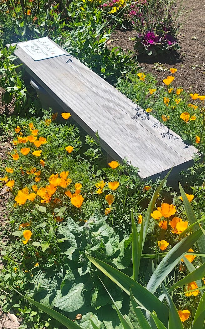 PADG Open Garden Saturdays 2