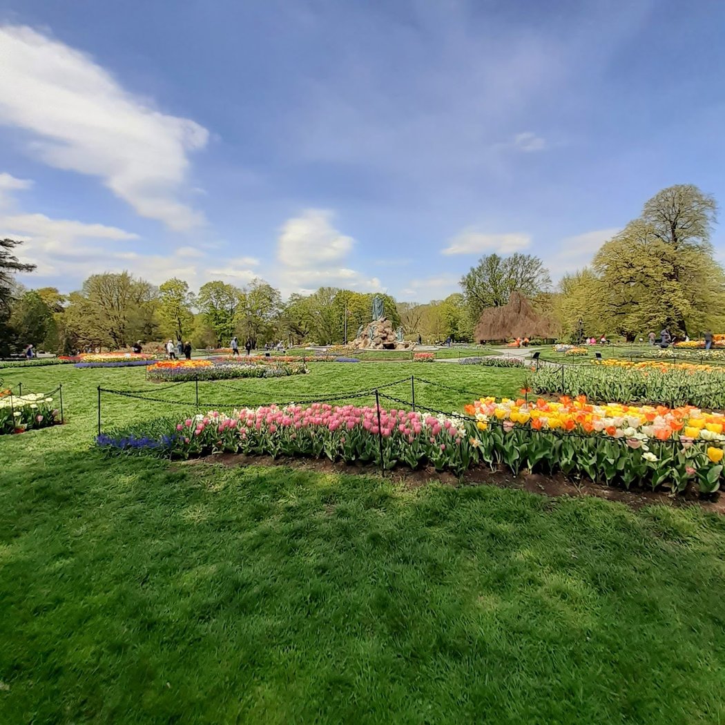 Albany Tulip Festival 3
