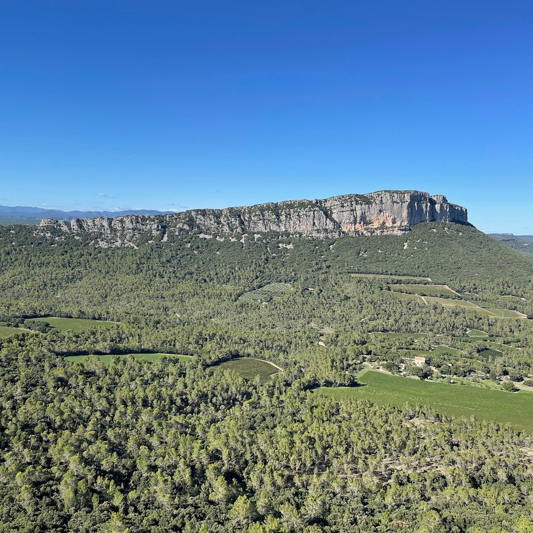 Pic saint Loup 2