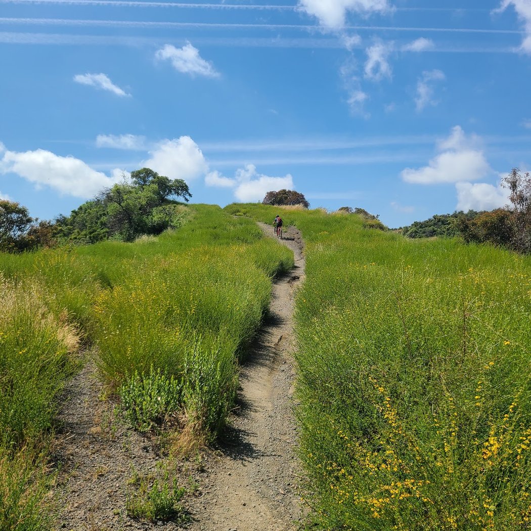 ALO Trail 3