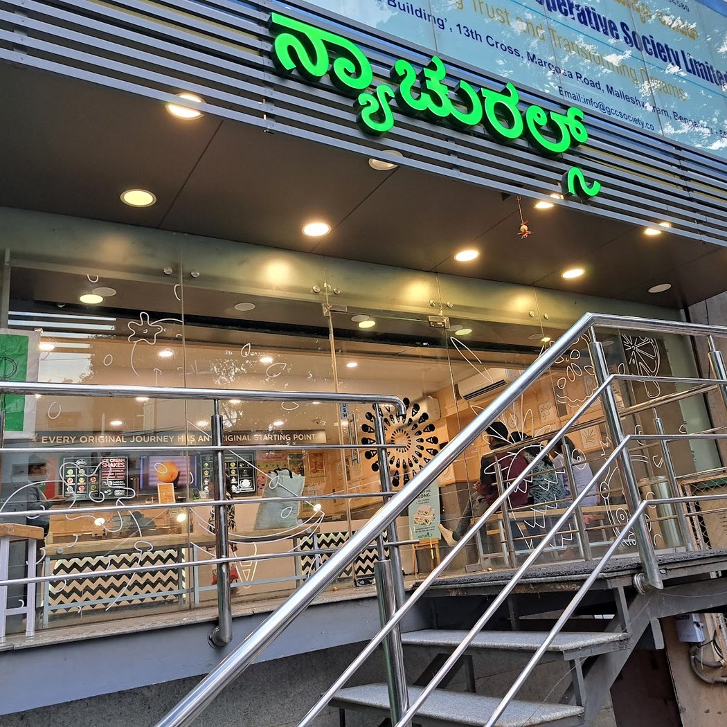 Naturals Ice Cream 2