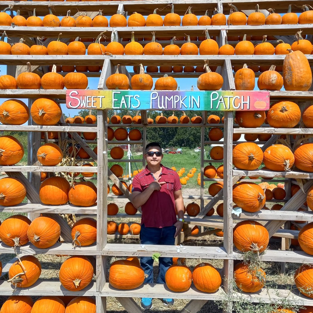 Pumpkin Patch 1