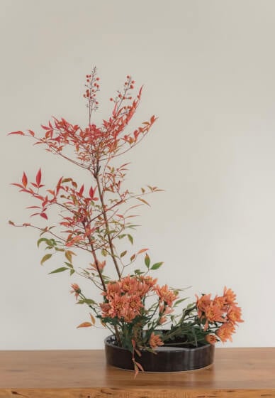 San Francisco Flower Delivery by Rossi & Rovetti 1