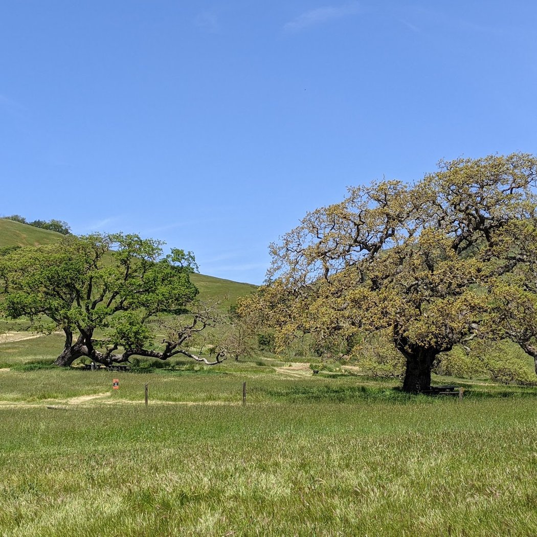 The 63rd Marin Century 3