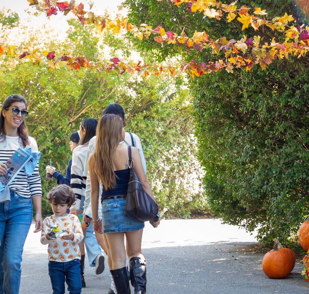 14th Annual Harvest Festival 1