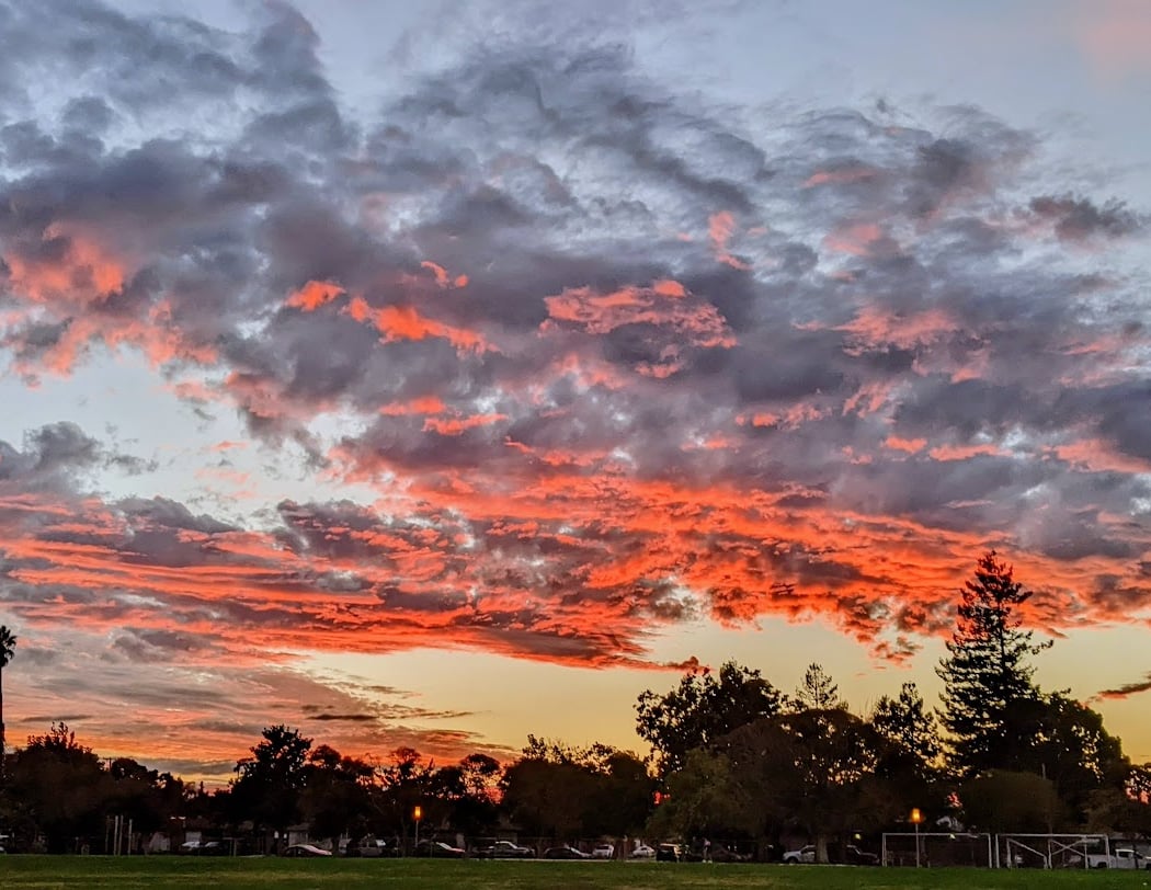 Columbia Park 1