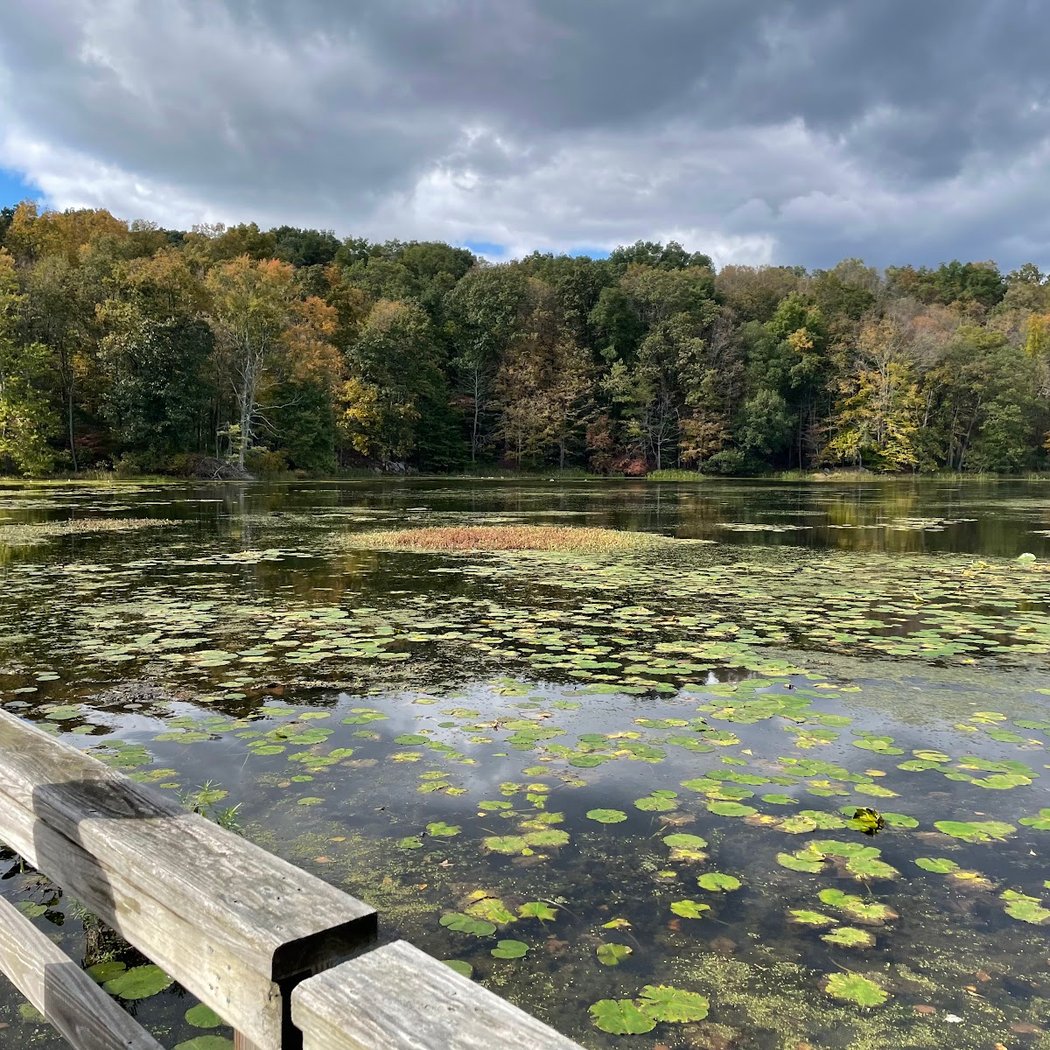 Teatown Lake Reservation 4