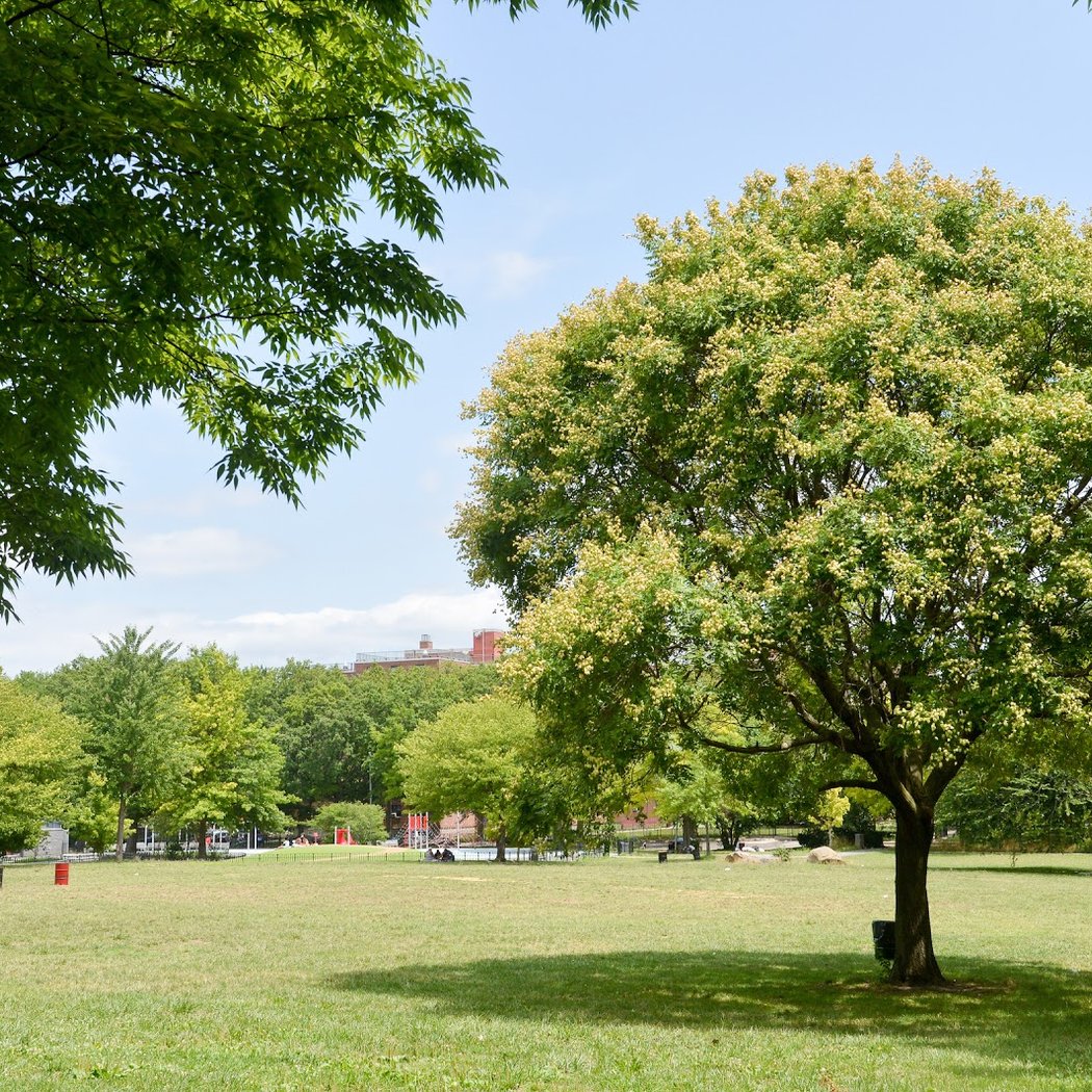 Soundview Park 2