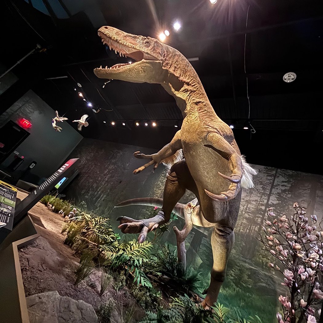 Edelman Fossil Park & Museum of Rowan University 3