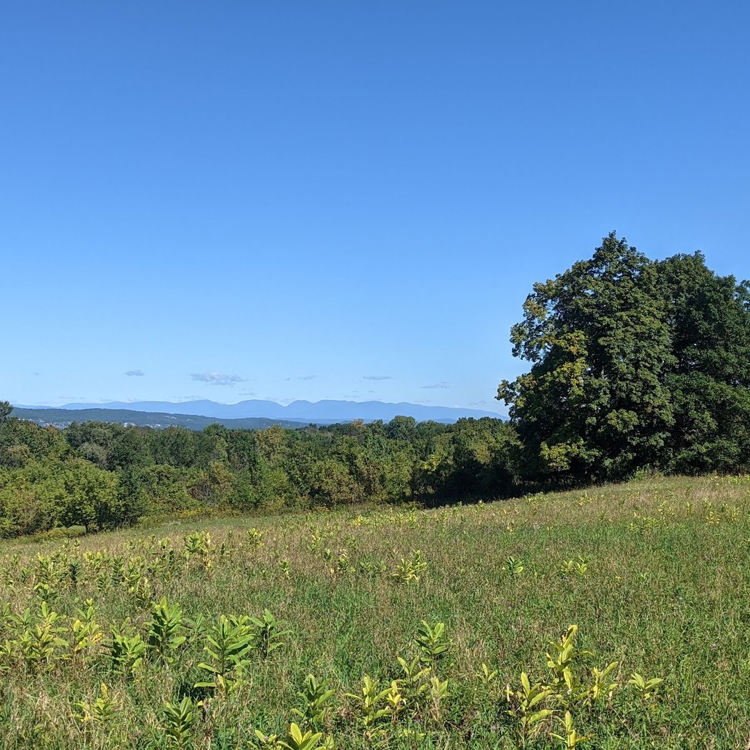 Apple Hill Farm 2