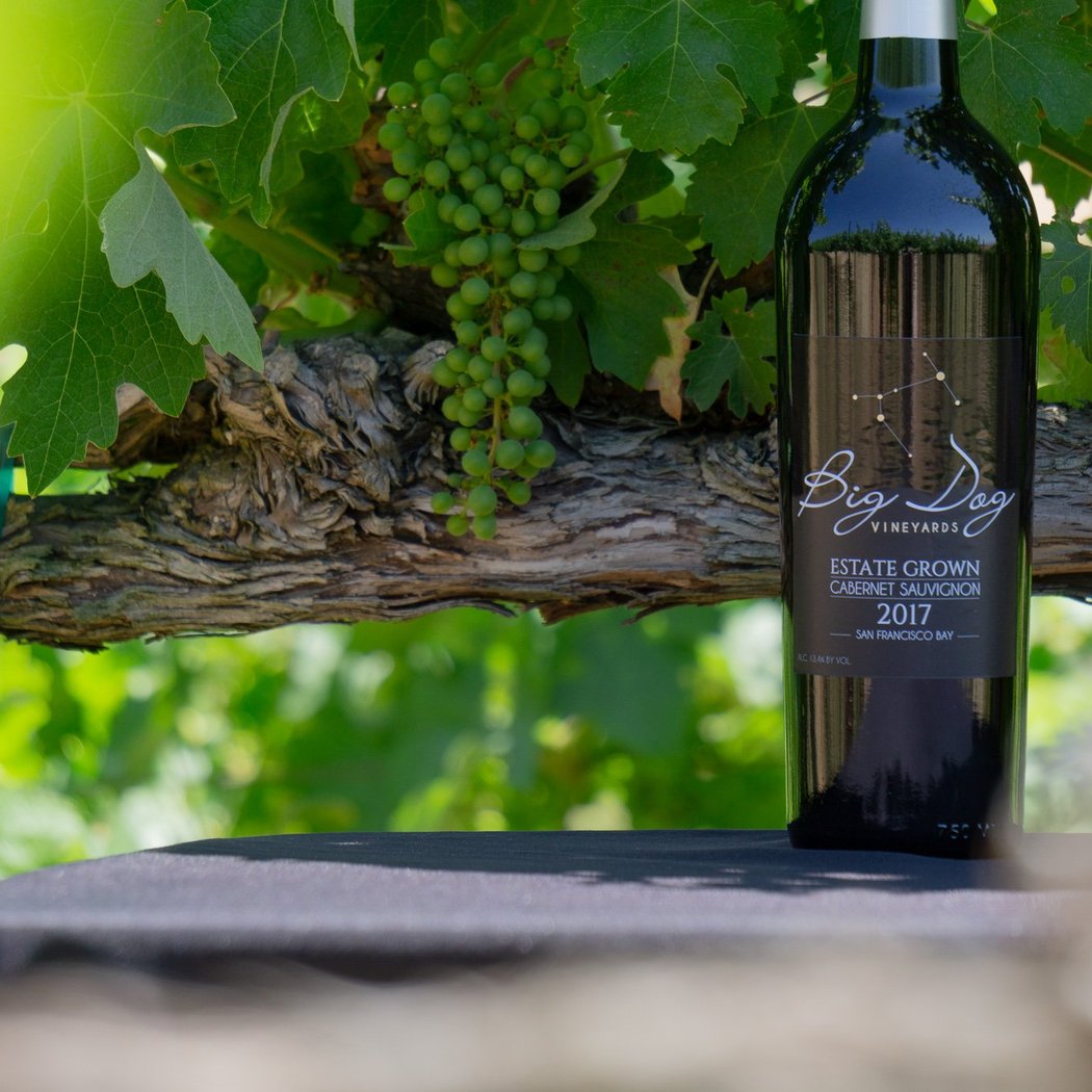 Big Dog Vineyards 2