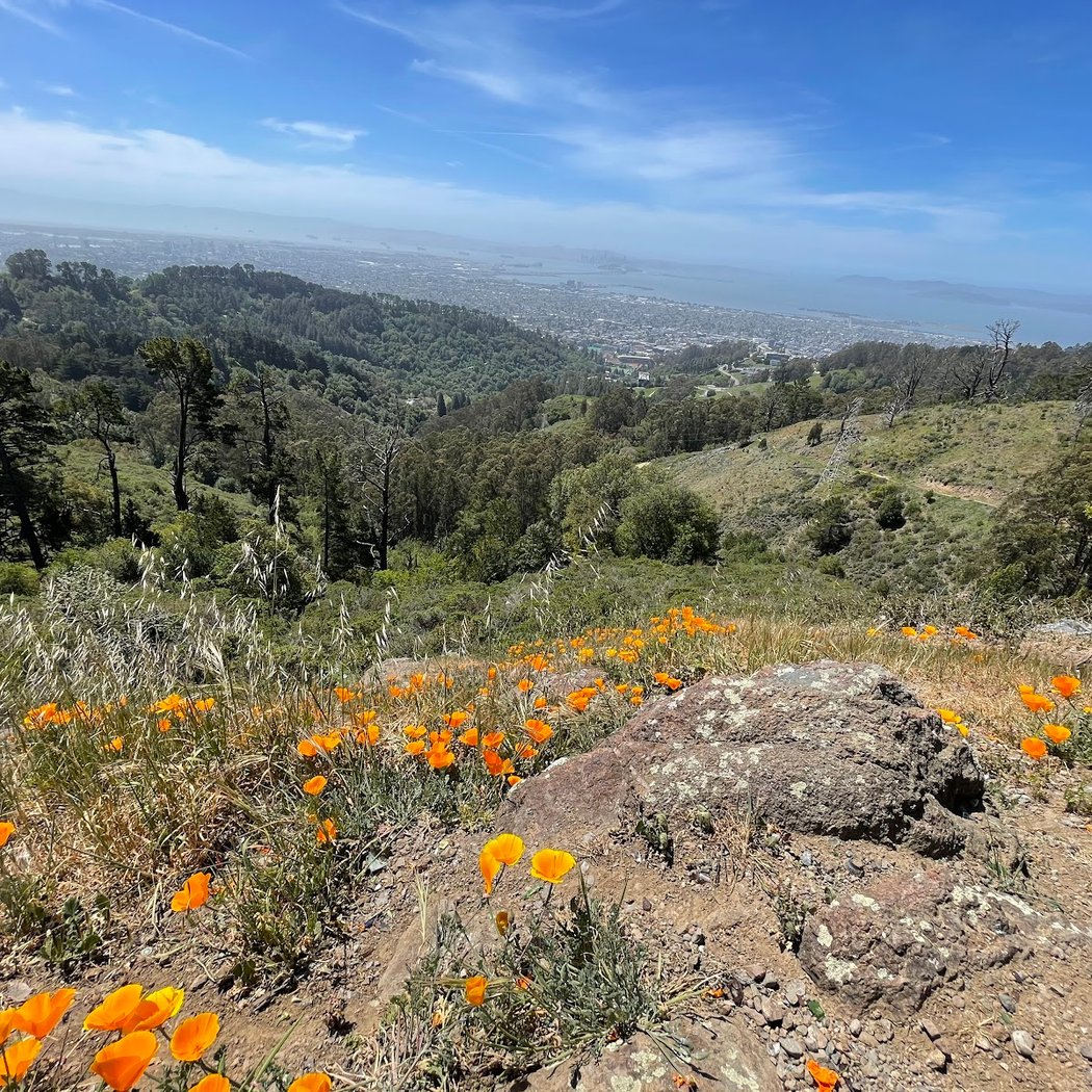 Grizzly Peak 1
