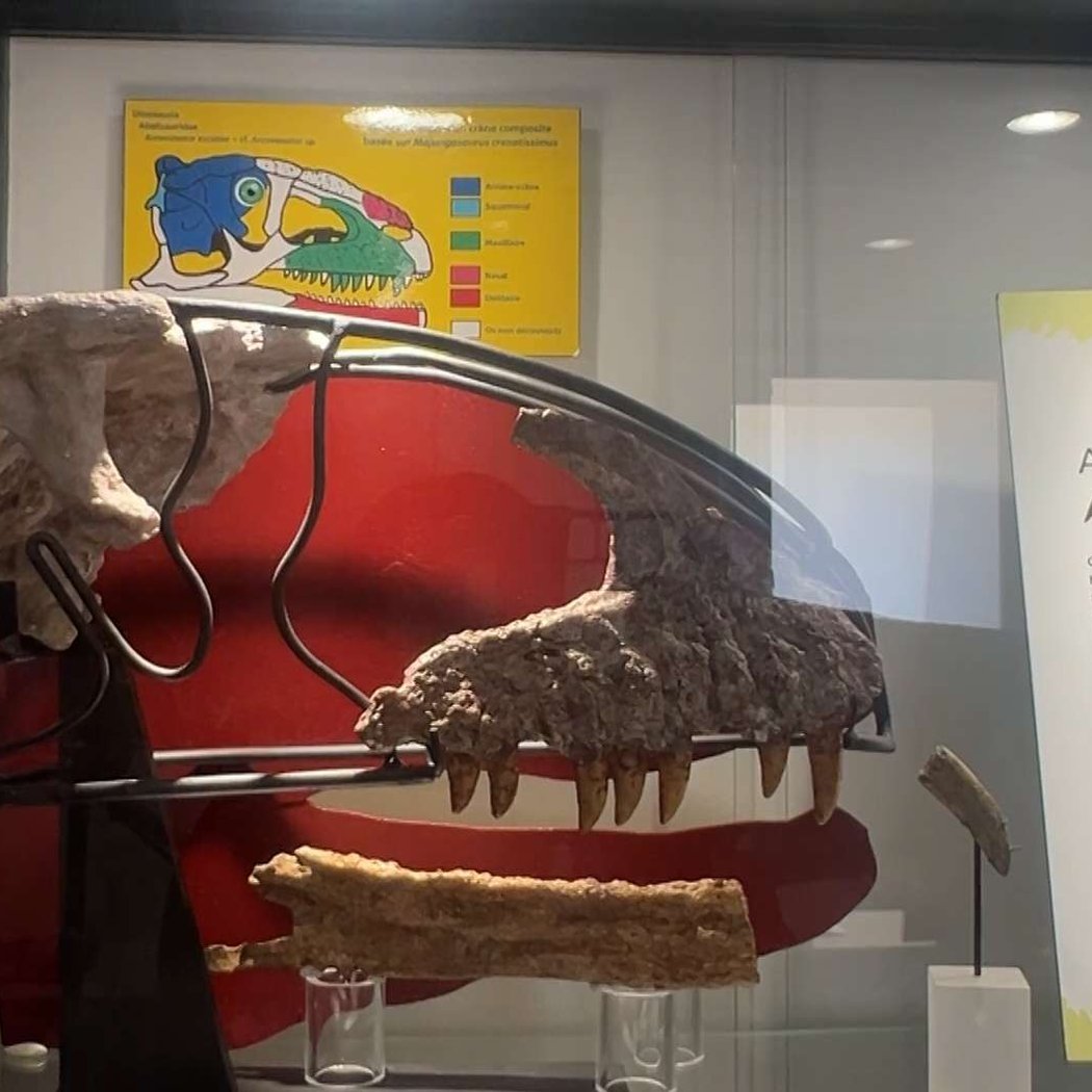 Dinosaures de Provence 2