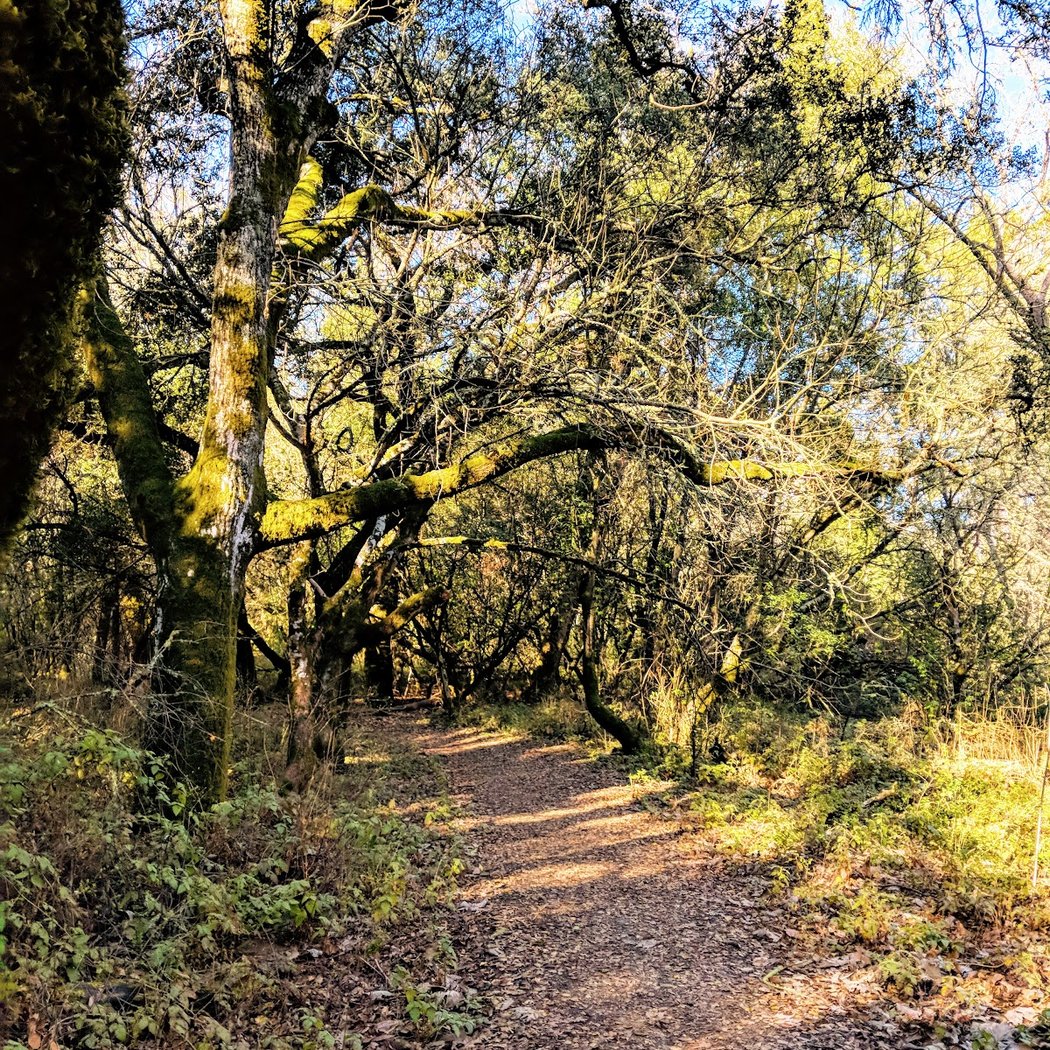 Old San Pablo Trail 2
