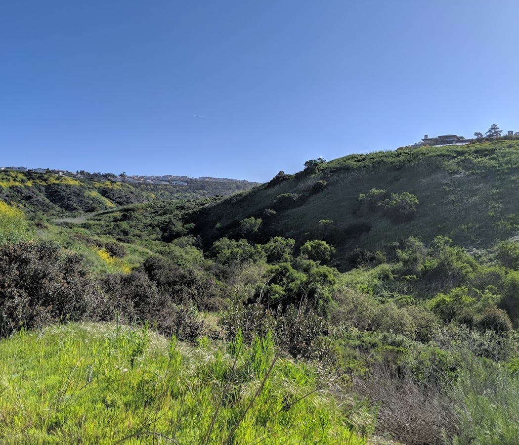 Buck Gully Loop Hike 2